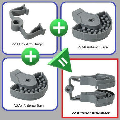 V2 Anterior Base (Qty 50)